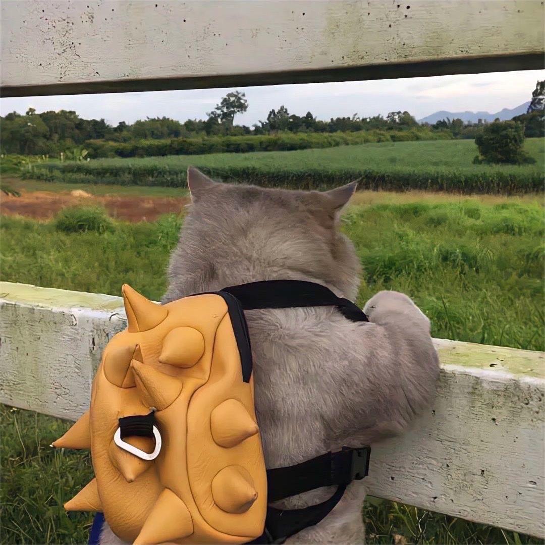 墨守古韵