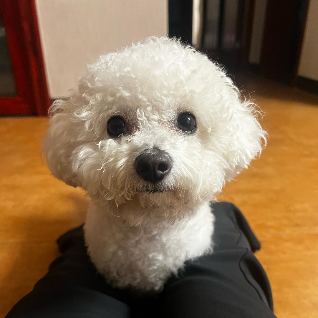 开心宝宝