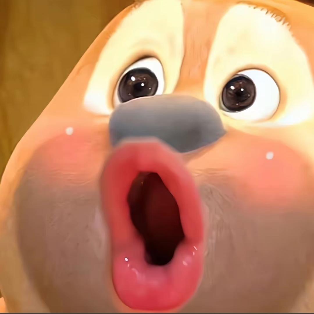 欣小欣xin