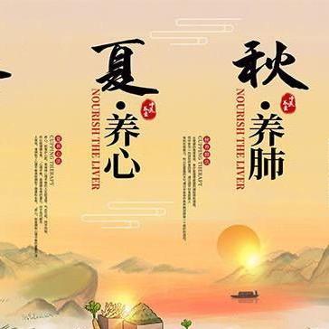 精选四季煲汤料