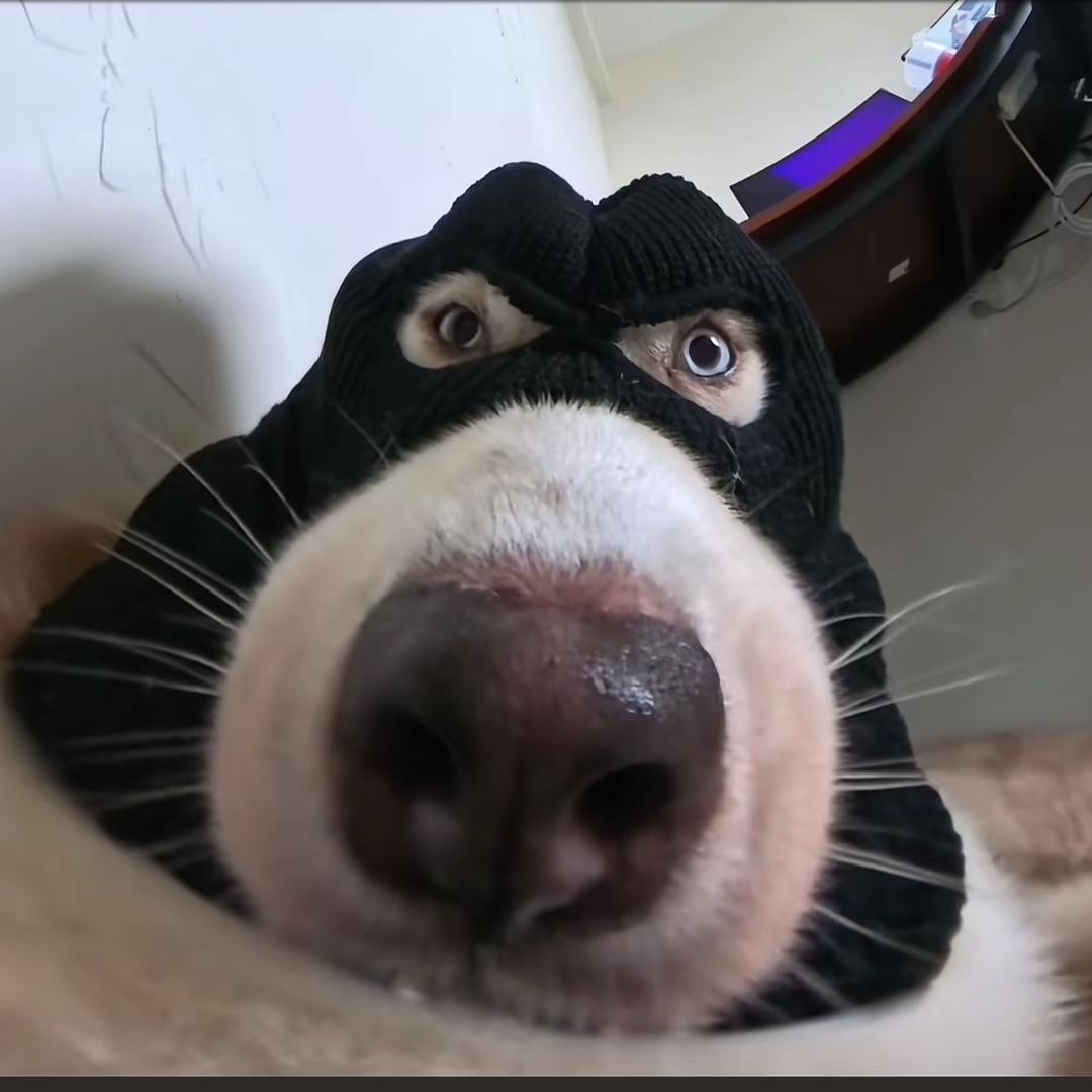 ＿