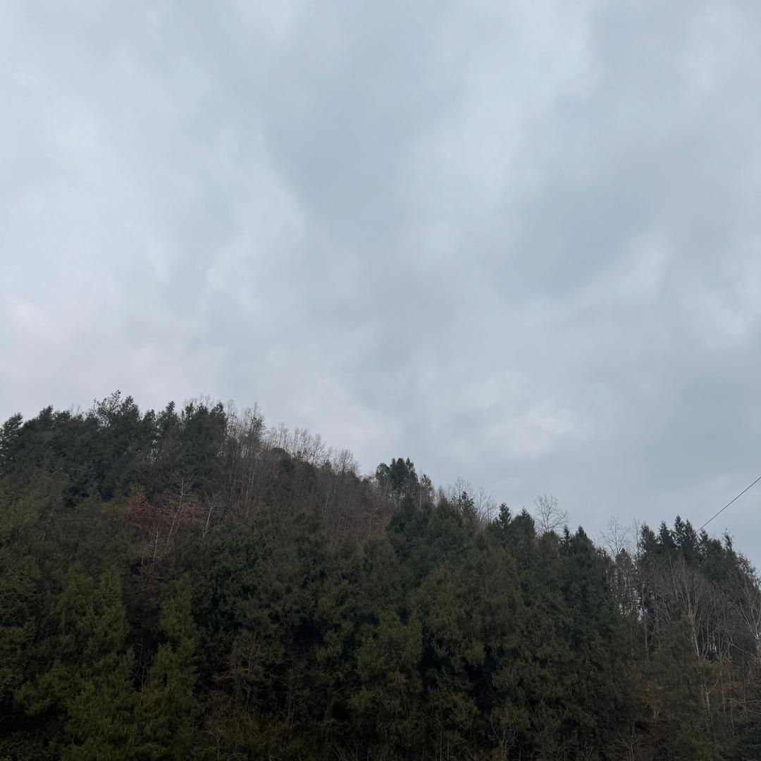 泰山之巅