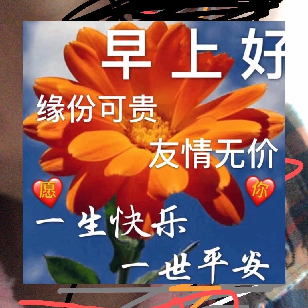 独有情钟