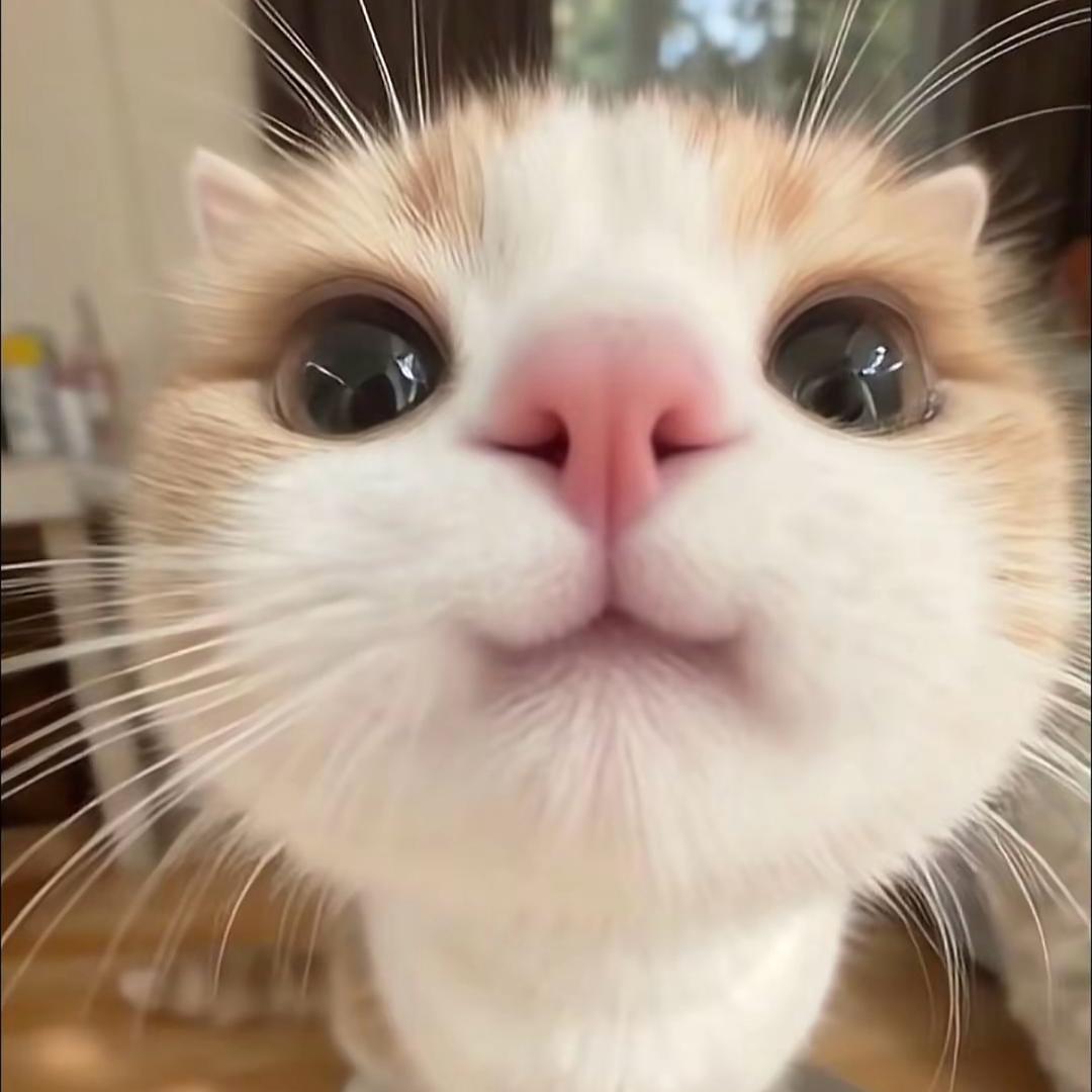 运气超好（人机版）