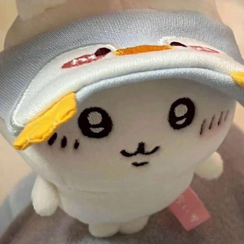 12载.