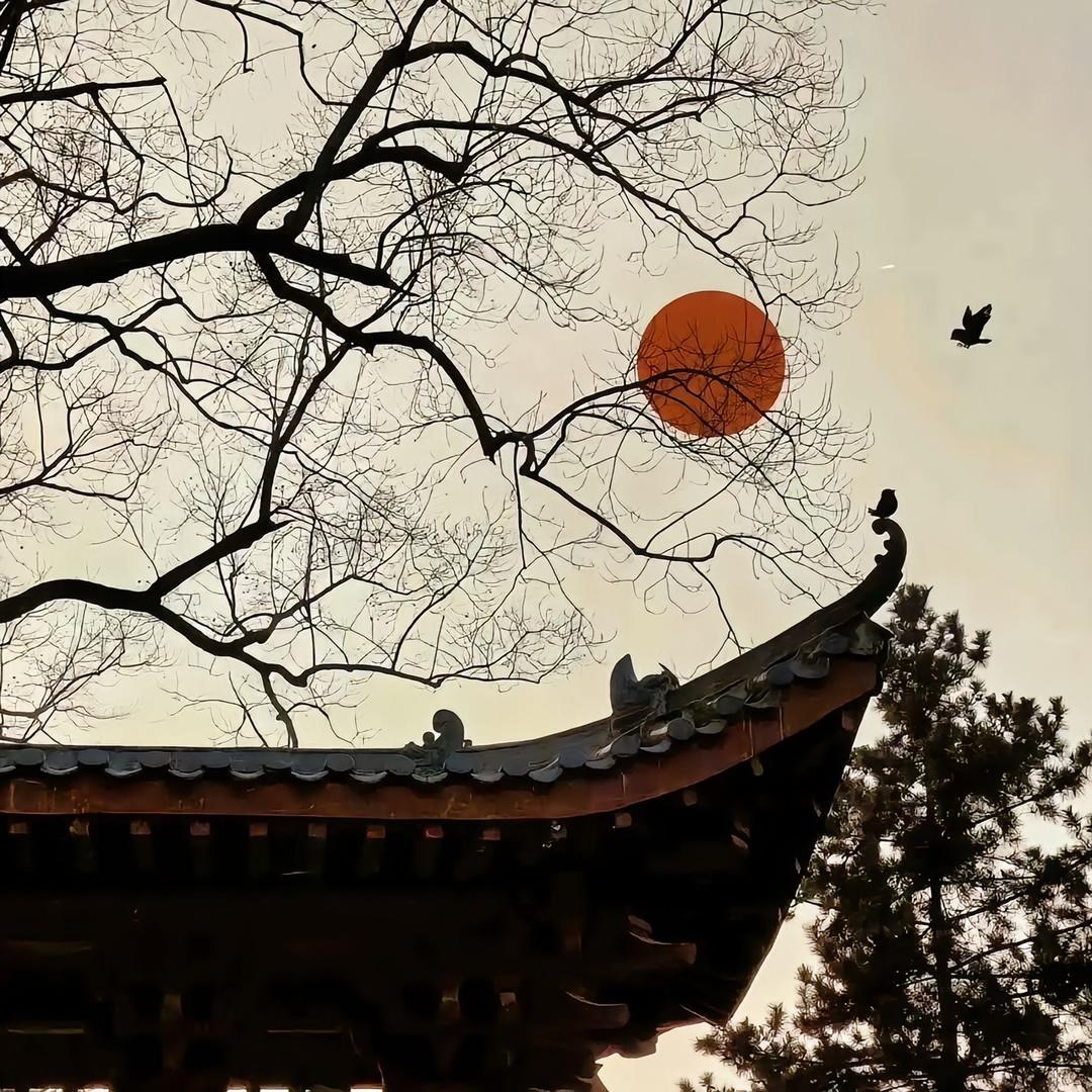 岳老师讲健康