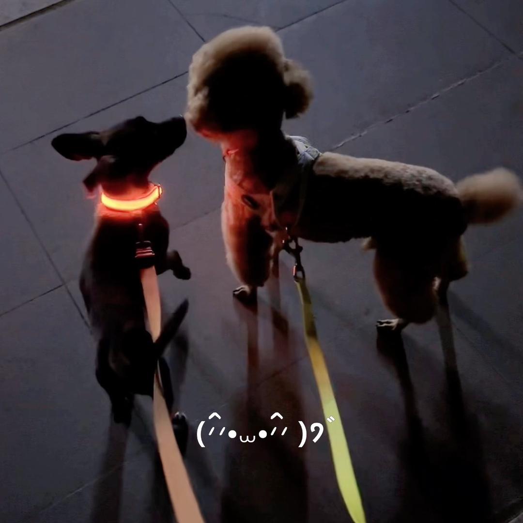 宝姐🤹🏻‍♀️🤹🏻‍♀️