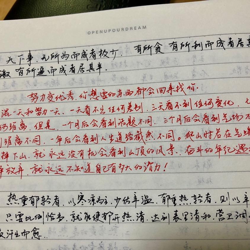 赵楚