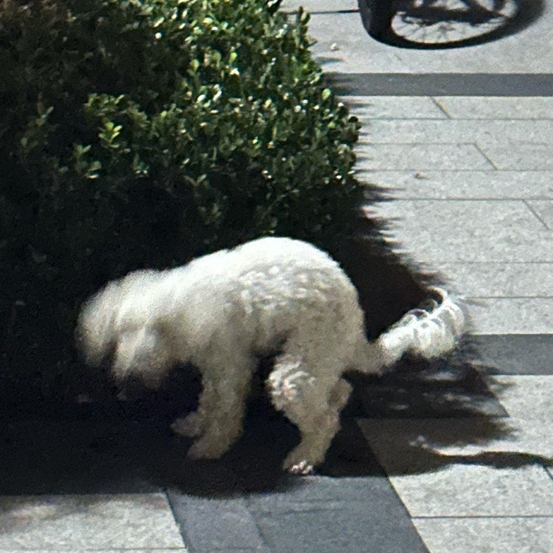 台州大大大厂冲锋衣