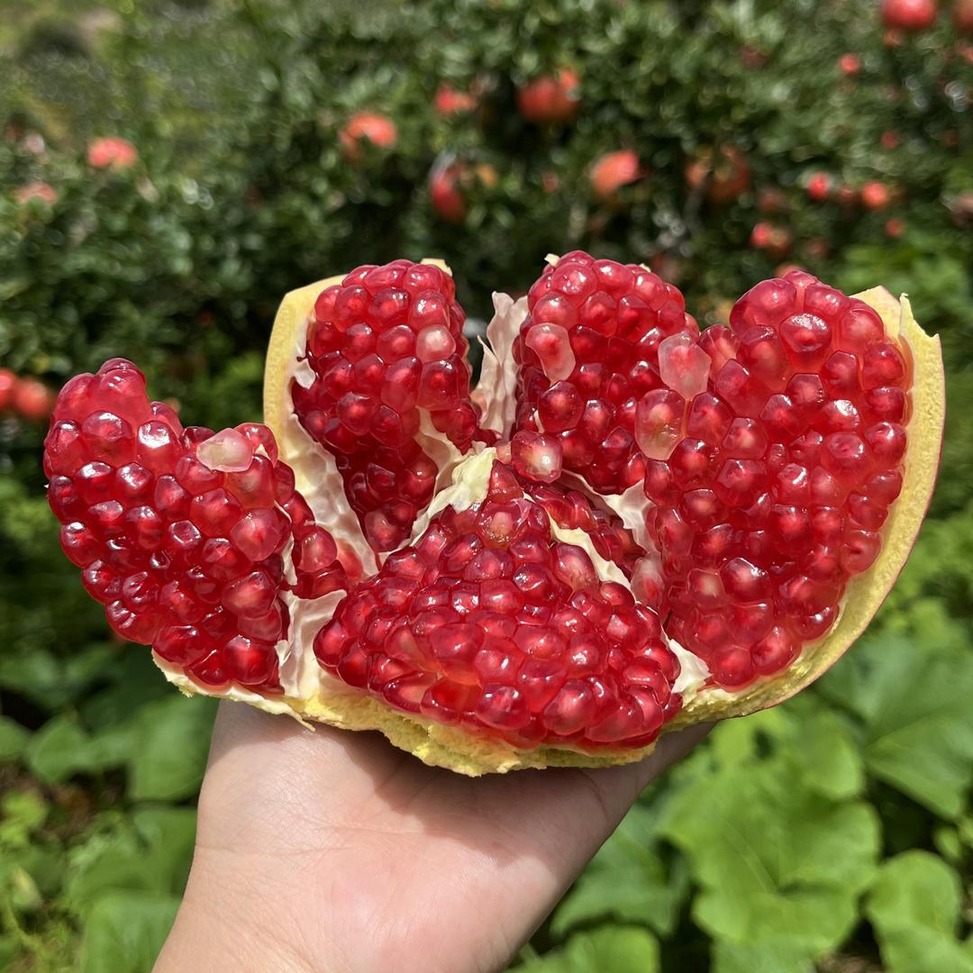 乾佑生鲜