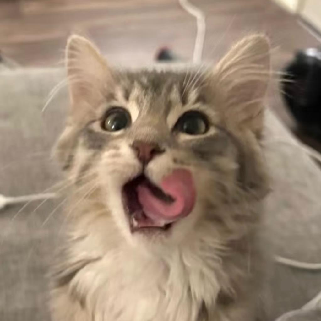 Wing Rider（共创号）