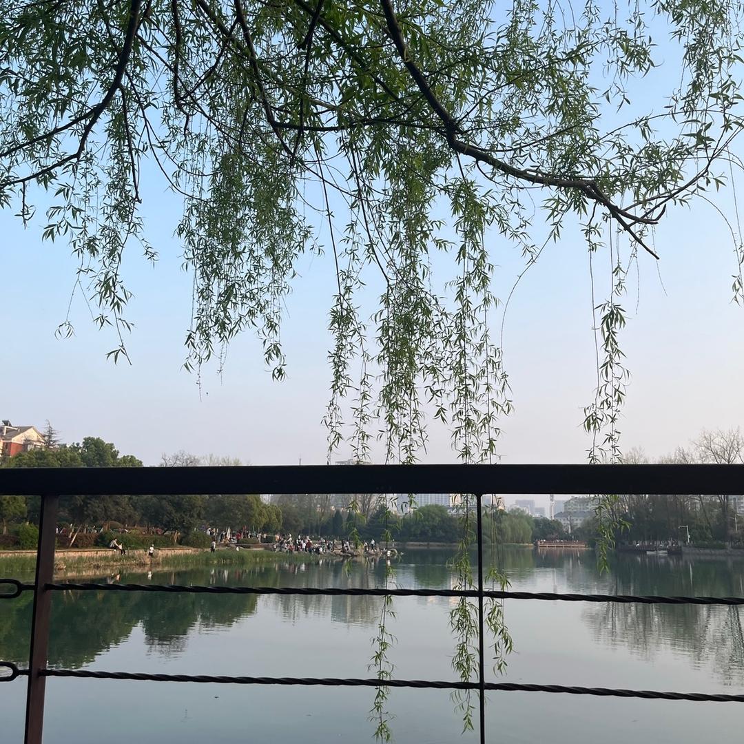 春天。