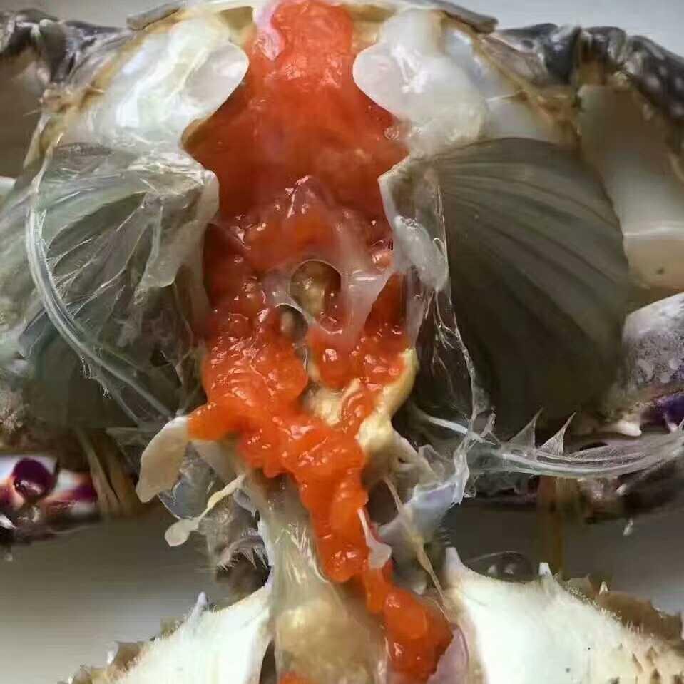 渤海水产海鲜