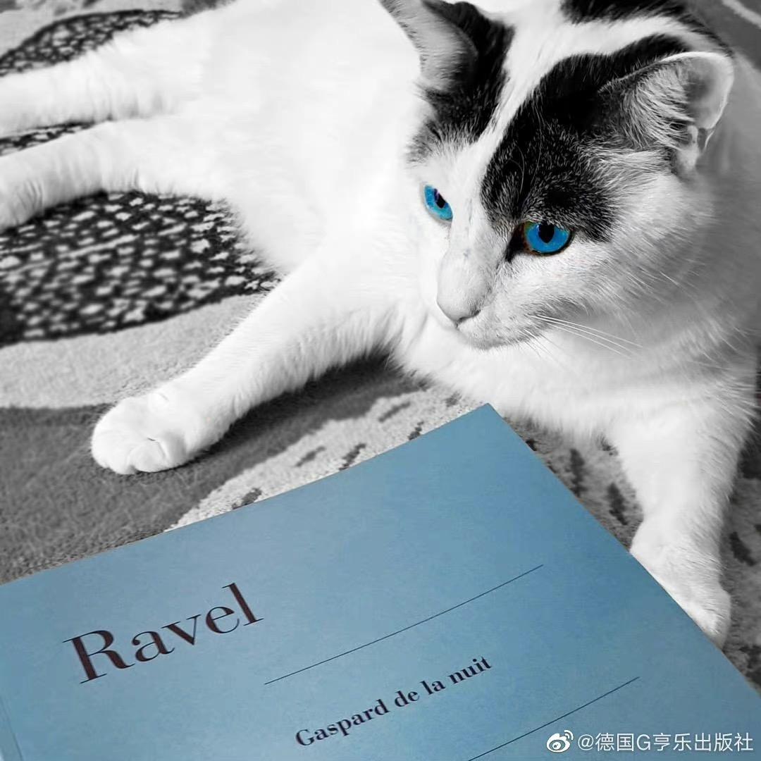 和弦进行不能V-lV