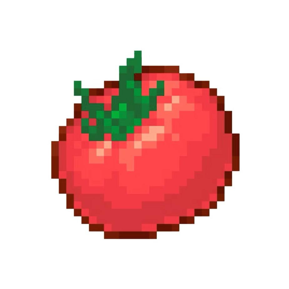 毛毛在美国🍅
