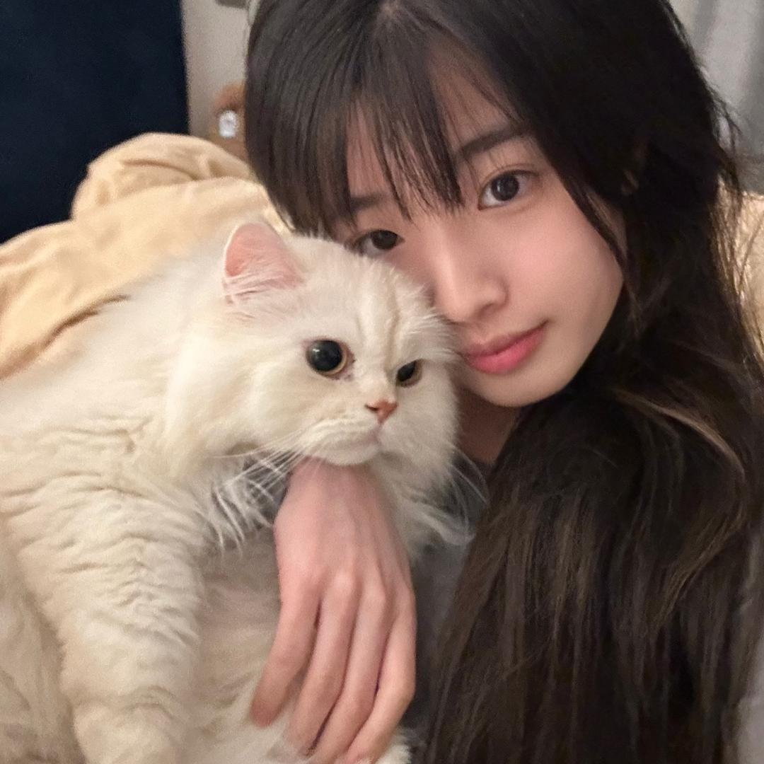 小马达被偷走了