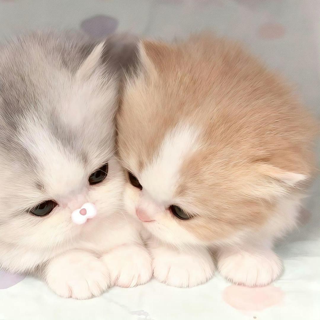 小圆🤍ྀི⁃ ⩊ ⁃