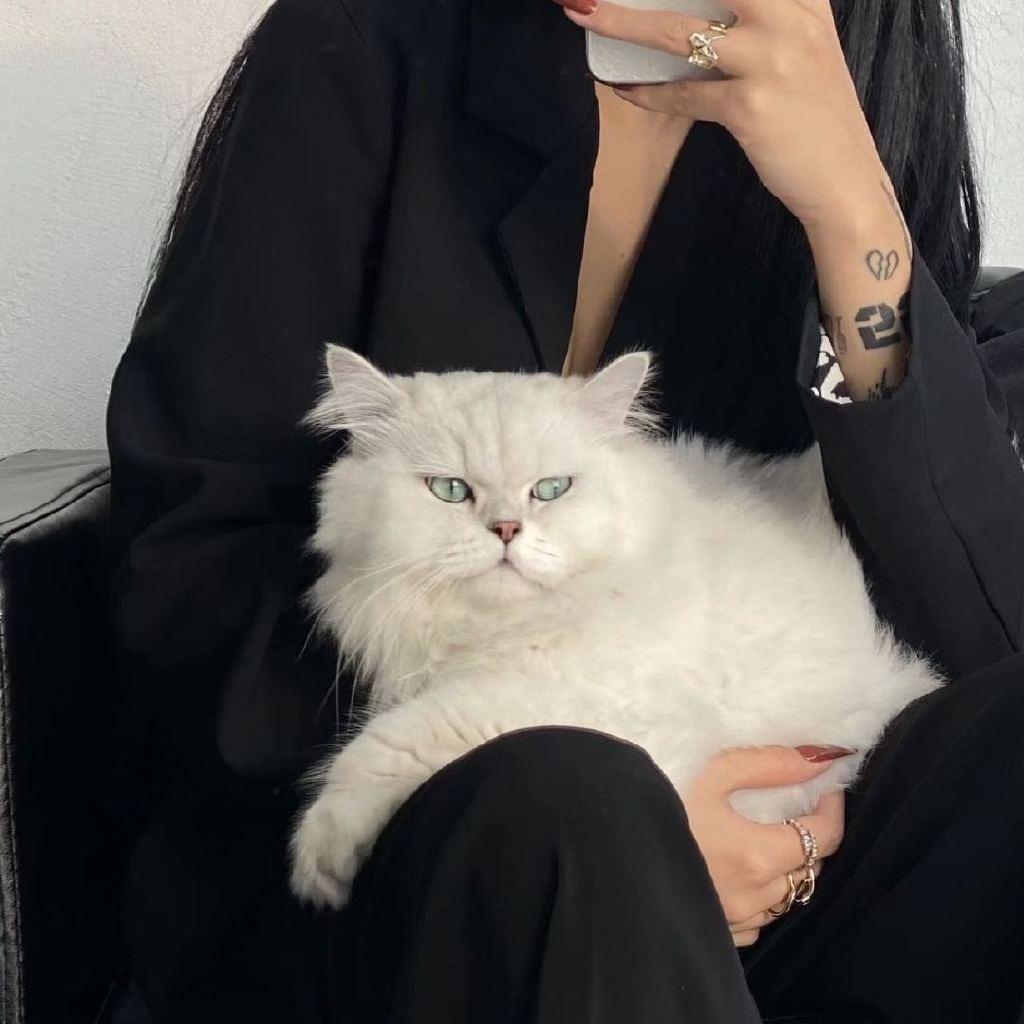 方阿静