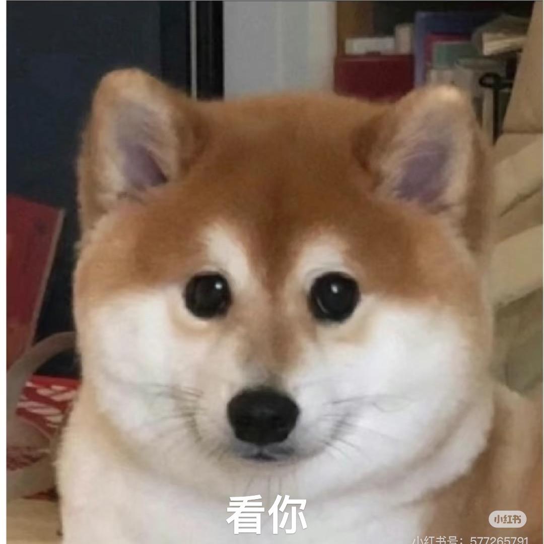 爱吃薯饼
