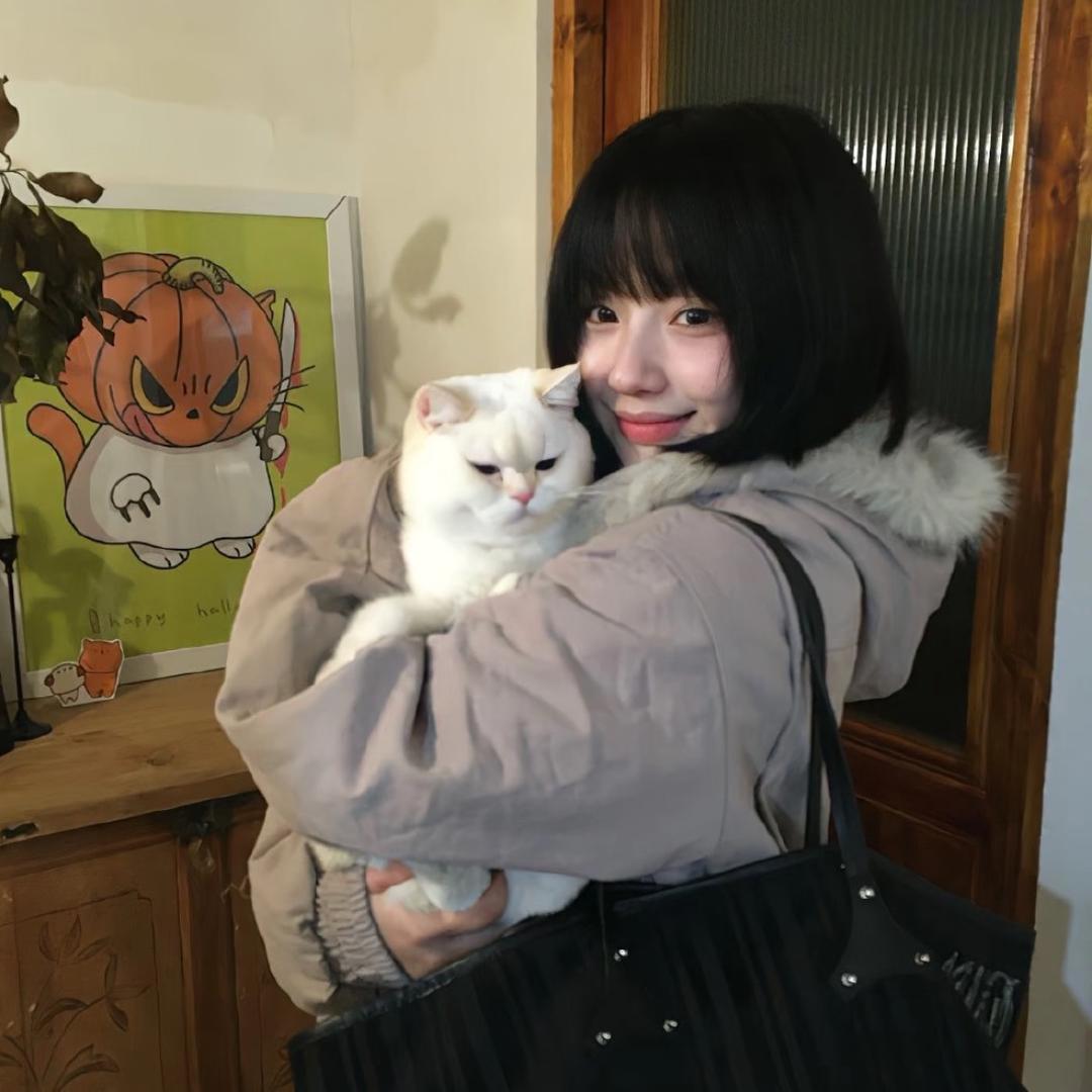 何清照.