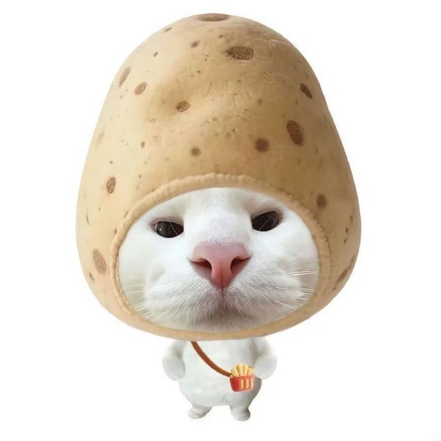 念念