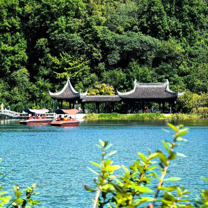 TK齐齐的直播号