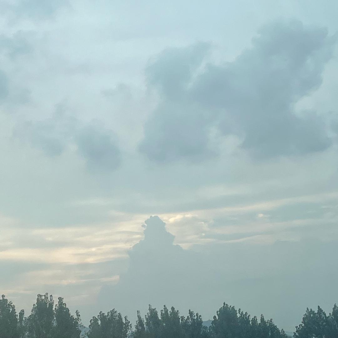 不吃饭行不行