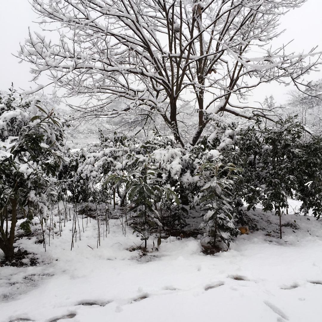 科圆机电维修董师傅