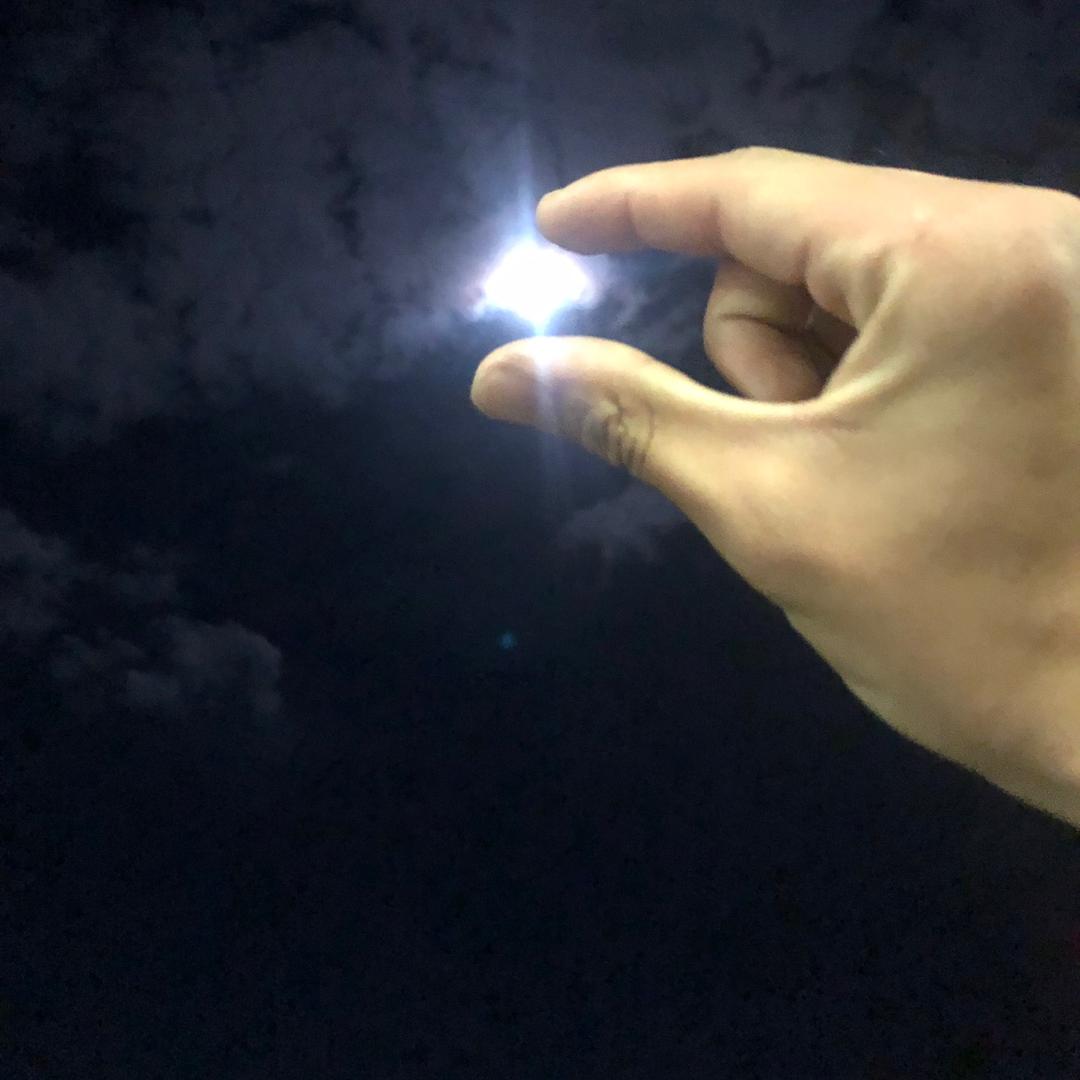 瓦力