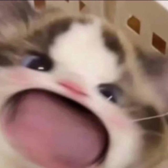哇哈哈.