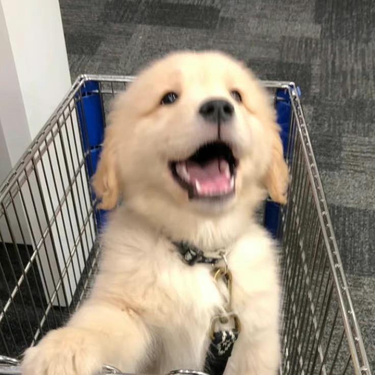我又不想动了