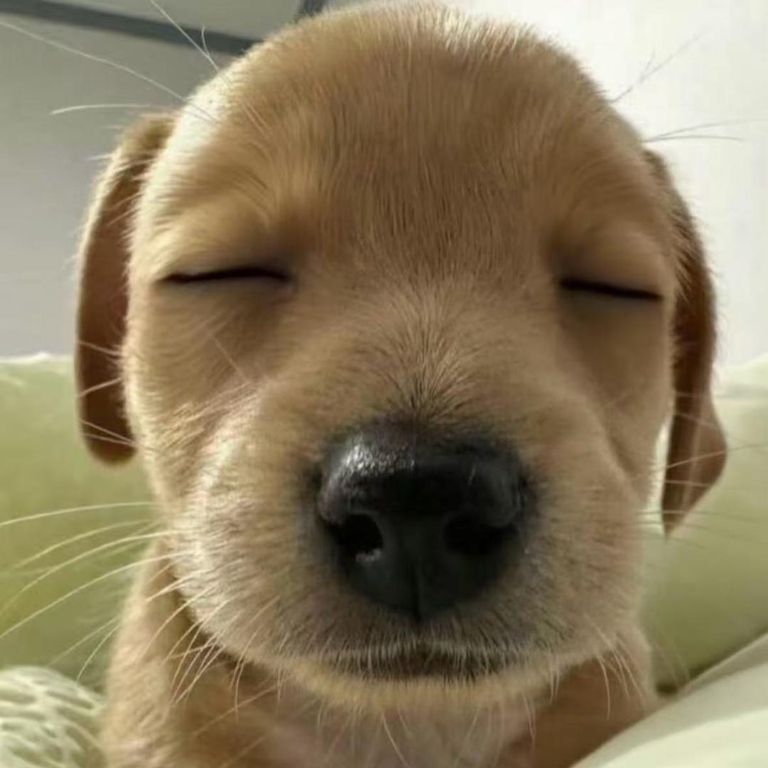 还在睡觉啊哥们