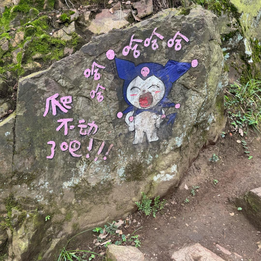今天不晚睡