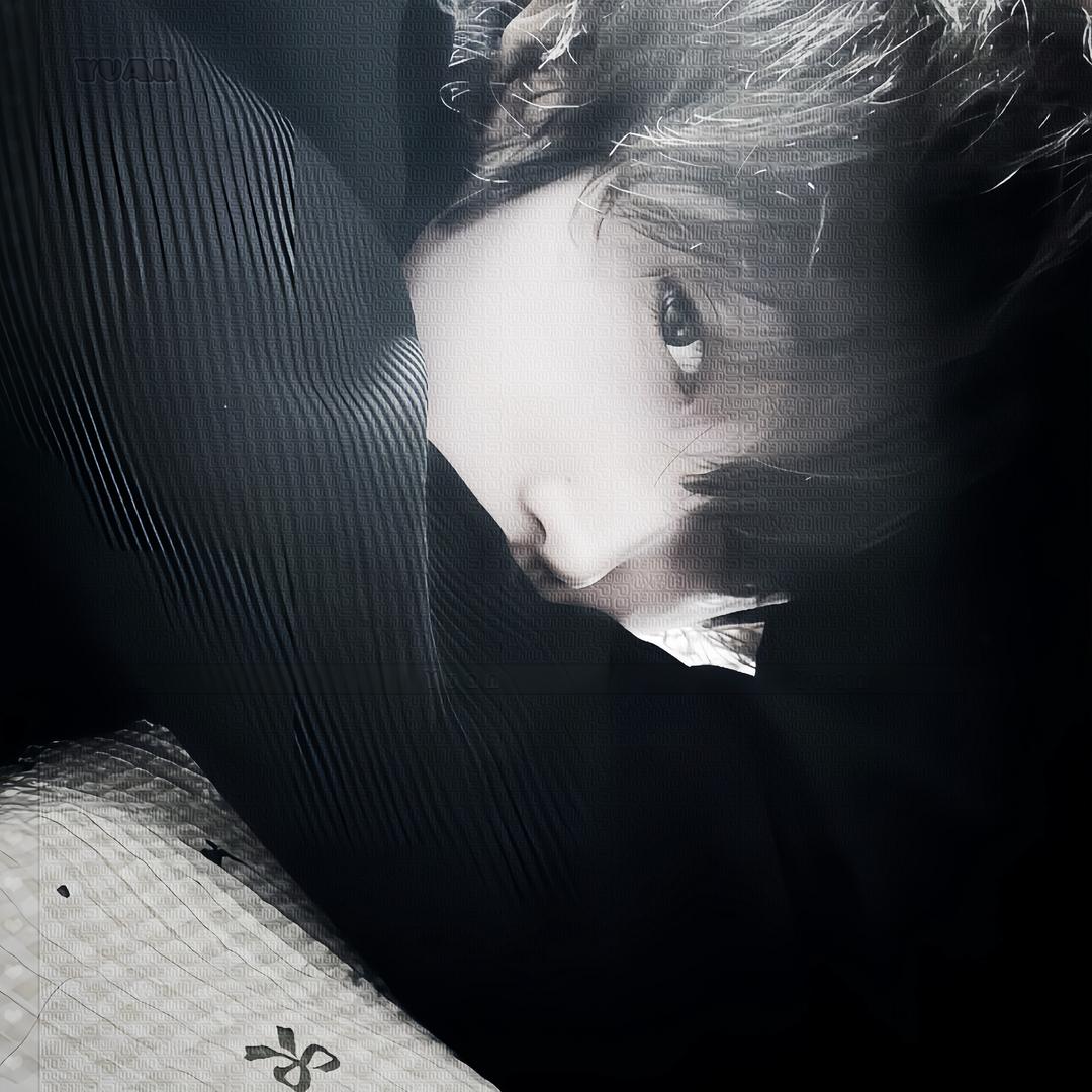 鸢