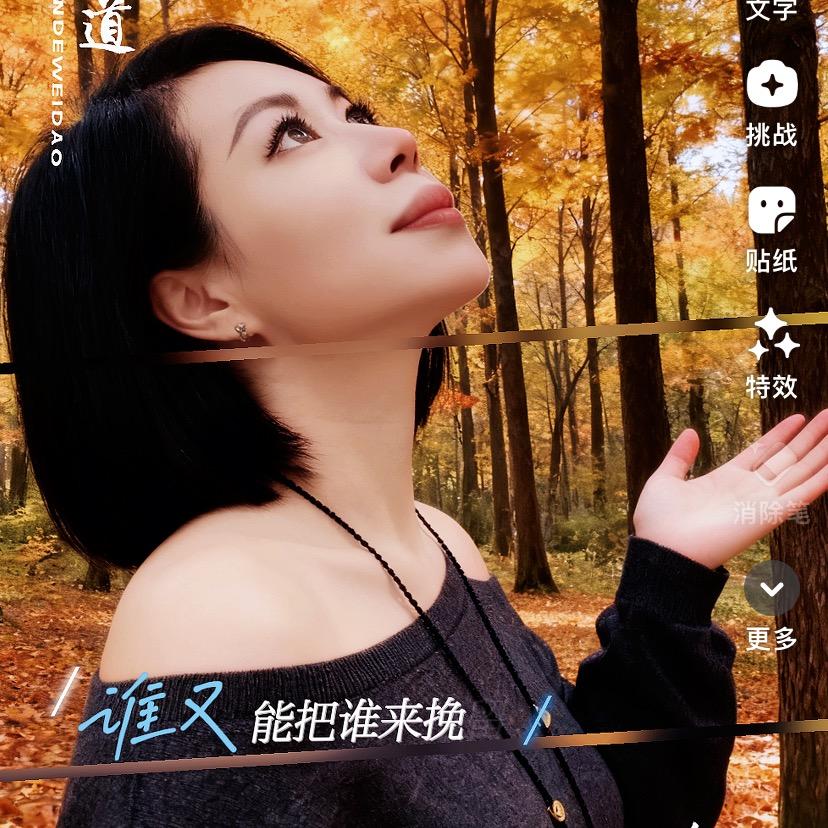 锦程