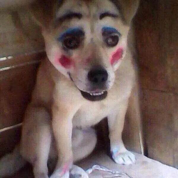 一位身体硬朗的小伙子