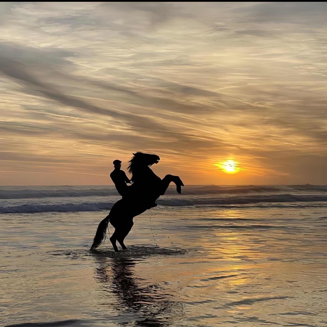 固安商K 酒吧- KTV侯威