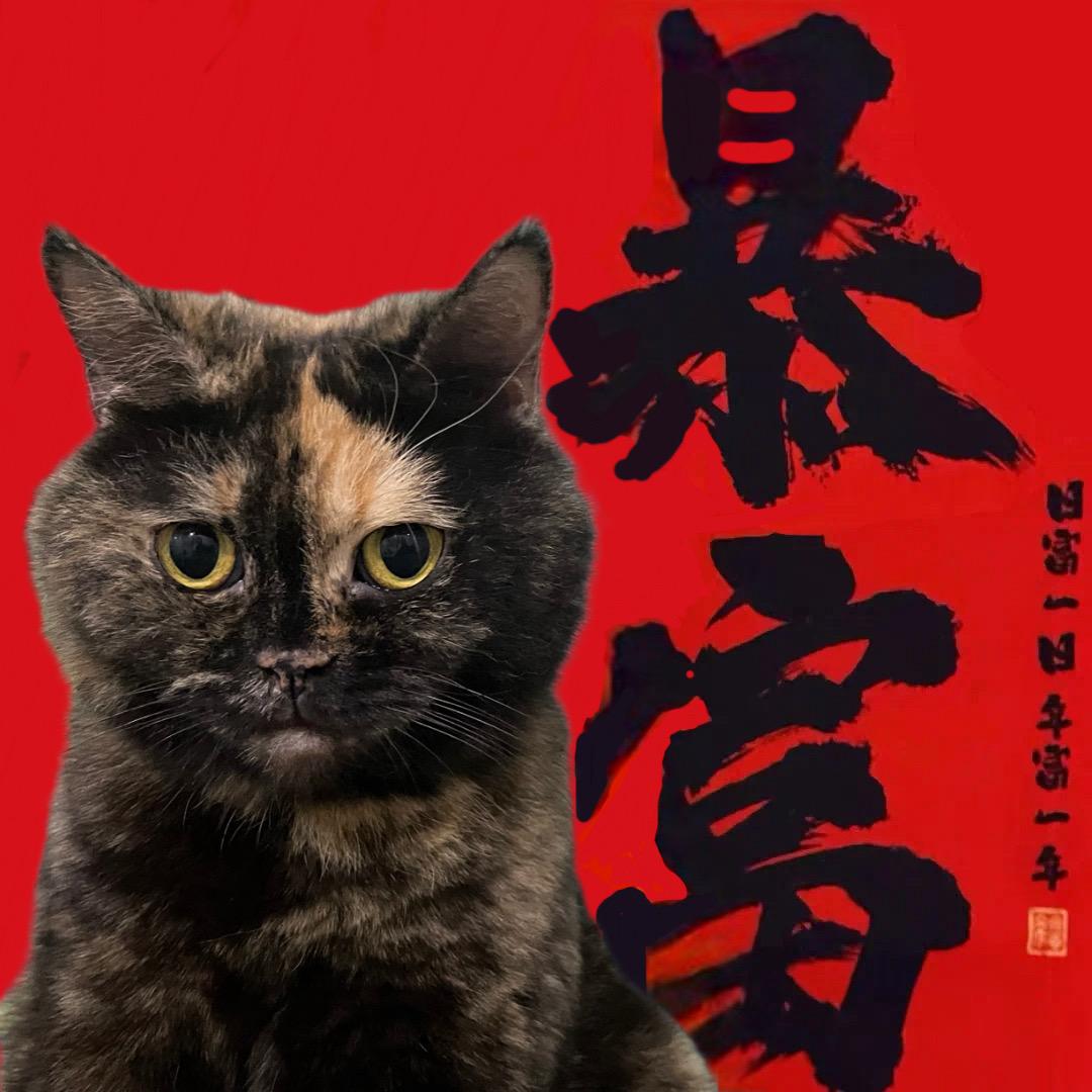 珐瑾韃❤️Vin