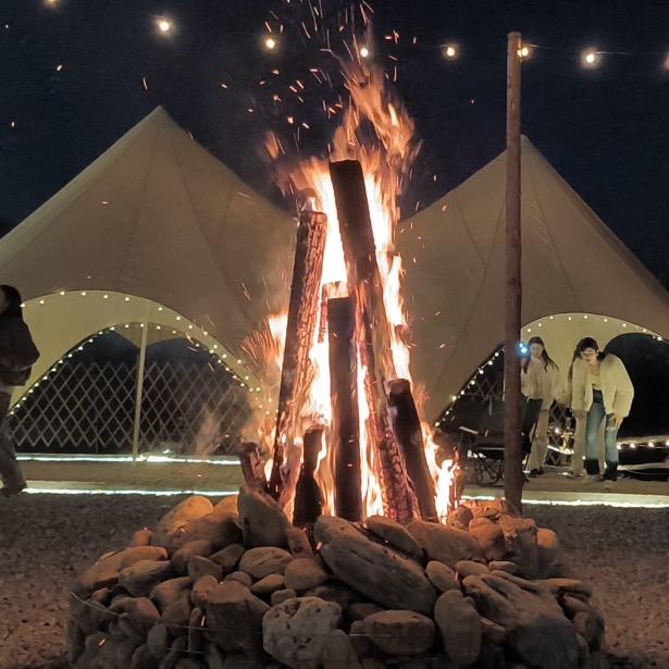 摆烂露营的日常