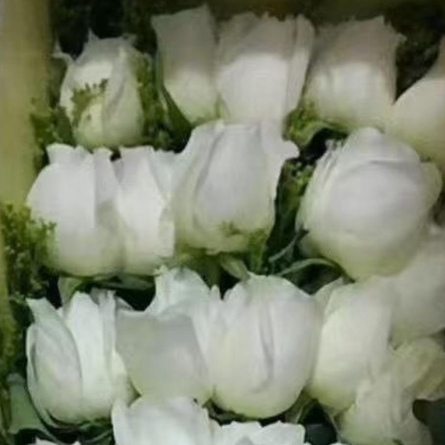 韩版 夏风 白涩