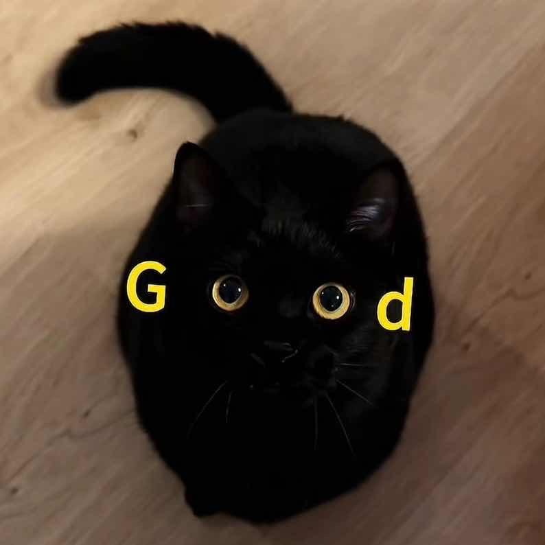 iy