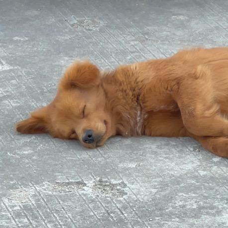 在海边的夜里穷得发抖