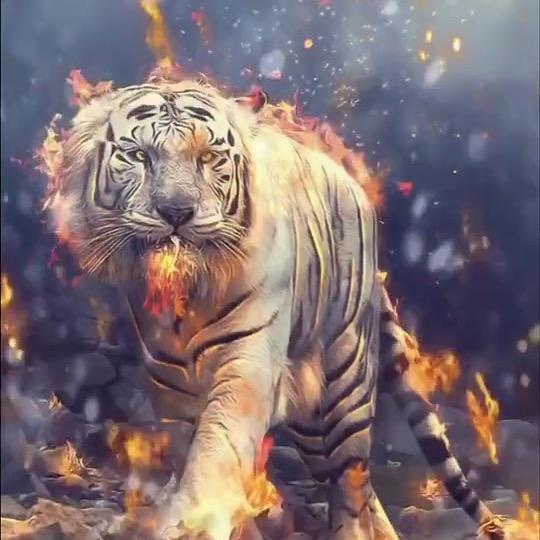 奶茶小王子头像