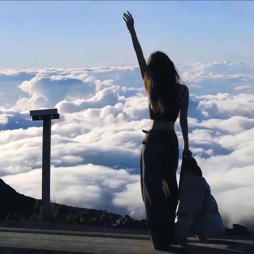 杨杨💫