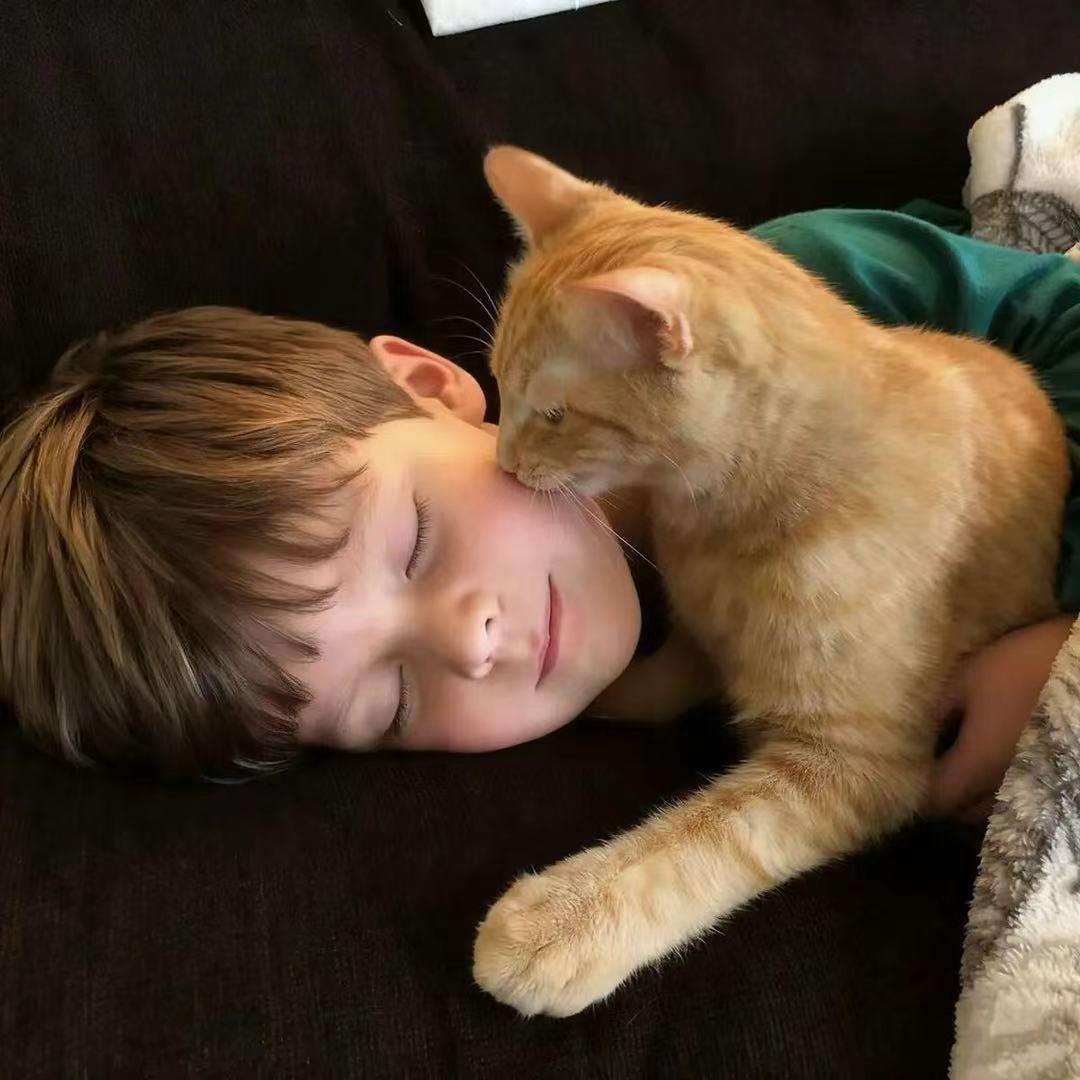 洋洋爱吃香菜✌️