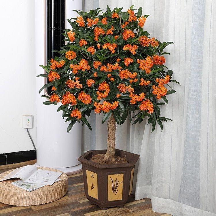 钱镜花汇坊