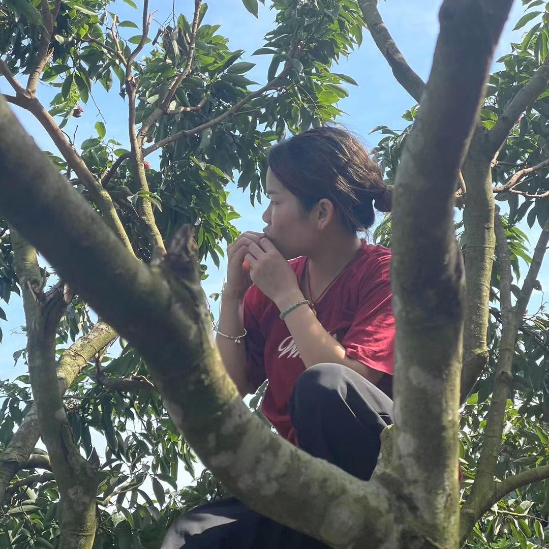 @阿瑶（农产品）