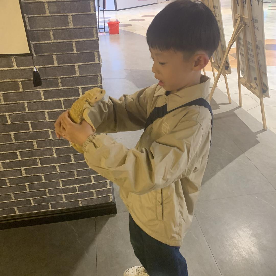 豪仔同学