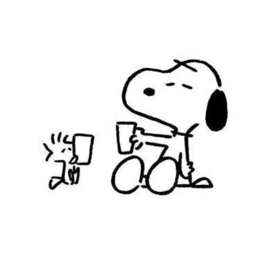 弹吉他的猫🎸