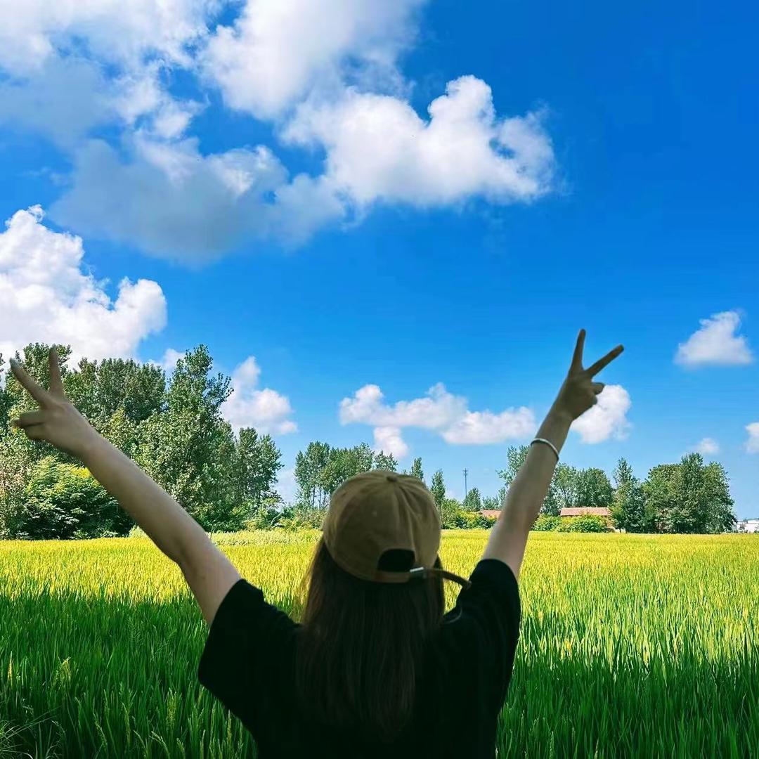 雪里抓不住的风